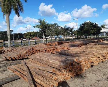 Peças de Eucalipto tratado em uma patio - Imader