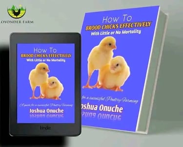 Ebook cover. How to brood Chicks Effectively