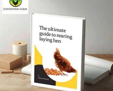 Rearing Laying Hen ebook cover