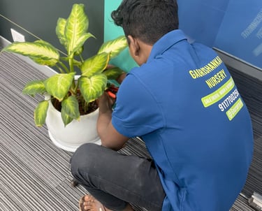 corporate plants service