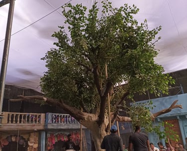 We provide Customize Artificial Trees for shoots and event. With a wide range of types and customiza