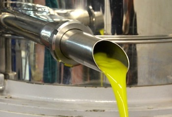 estrazione olio di oliva
