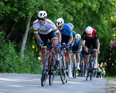 venantas lasinis mina i kalniuka