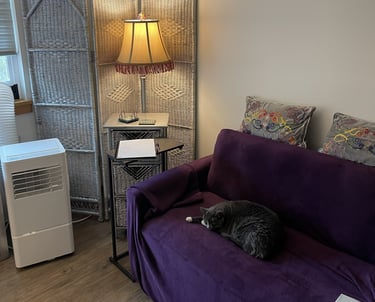 cozy living room set up with a cat curled up sleeping on a purple couch