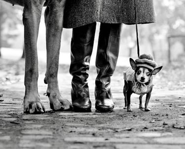 Elliott Irwitt photo 2 dogs and a woman