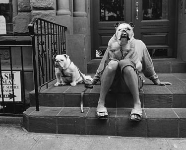 Elliott Irwitt photo of 2 bulldogs and person on steps