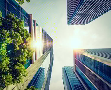 hexagon, credit carbon, carbono, sustentabilidade, esg, CVM, Lucro Real