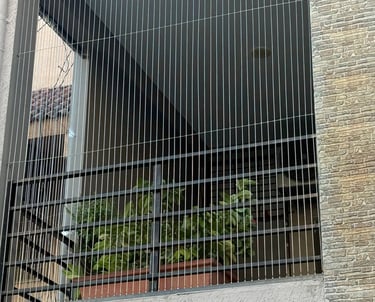 diamond grill for windows