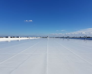 TPO Roof