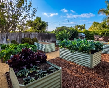 Backyard garden with metal raised beds growing lettuce and vegetables next to a patio.