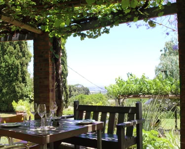 a table and chairs, set with 3, with a trellis of grape vines growing overhead and a valley behind