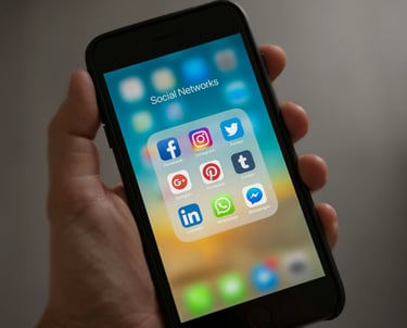 Les réseaux sociaux du SII