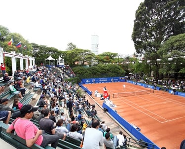 Pessoal na platéia vendo o jogo