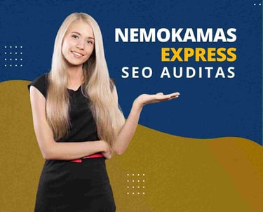 Nemokamas express seo auditas