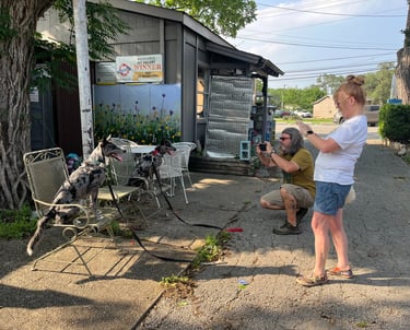 a couple takes pictures of their dogs who are posing during dog training class