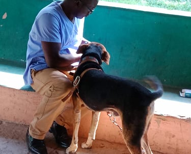 Vet Dr. Peter is giving medicine to a dog on the AAK farm