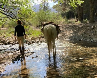 A person on foot walking with a horse through a shallow river.