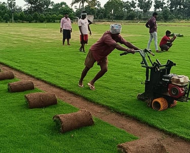 lawn grass installation Hyderabad