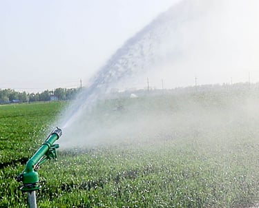 Landscape Irrigation Services in Rajahmundry
