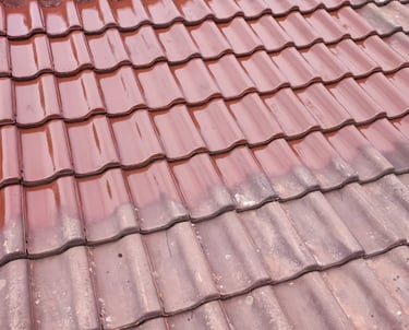 Toiture en tuiles rouges brillantes après rénovation et traitement, mettant en valeur la qualité du nettoyage réalisé à Audin