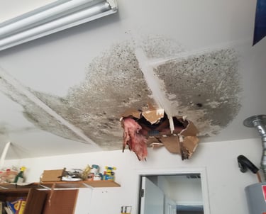 water-leak-in-ceiling-brushy-creek-home
