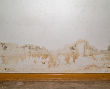 Water damage repair in Granger, TX home with warped wood flooring