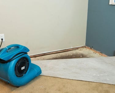 Bathroom overflow causing water damage and mold issues in Taylor TX property