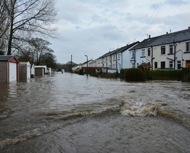 Professional water damage cleanup and drying equipment in Florence, TX home after leak