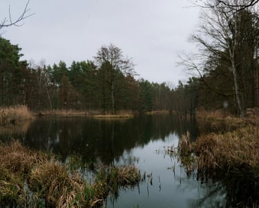 Low water crossing in Coupland, TX during heavy rain causing localized flooding