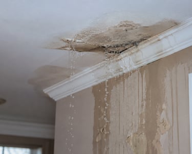 rain water leaking through ceiling in killeen tx