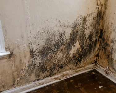 Water damage and mold growth inside residential walls showing moisture intrusion, drywall deteriorat