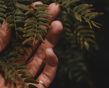 Main et plante, cérémonie "l'Ancrage", enfouissement des cendres de votre animal