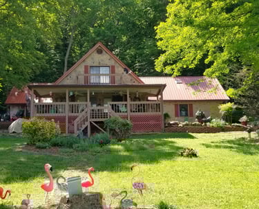 Roof wash in Bean Station, Tn 37708 near me by Bobs Pressure Washing LLC in Bulls Gap, Tn 37711 12