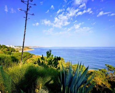 mooie groene kustlijn van ALbufeira bij Alfagar Village