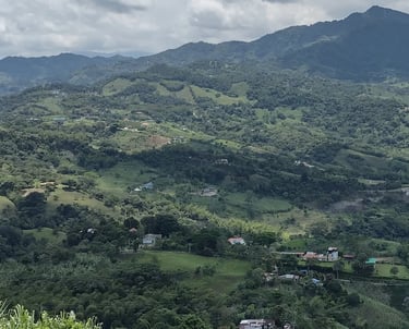 fincas lotes montanas casas cultivos carreteras de parte rural de nocaima