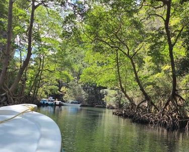 Los Haitises National Park