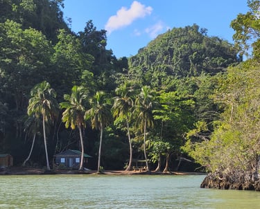 Parc national Los Haitises République dominicaine