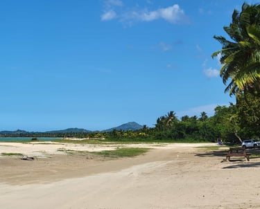 Playa Arriba: The Wild Pearl of Miches