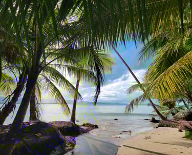 Investors Are Choosing Miches