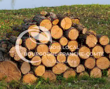 une pile de bûches avec une pile de bûches dans l'herbe