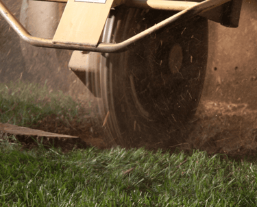 Stump Grinding