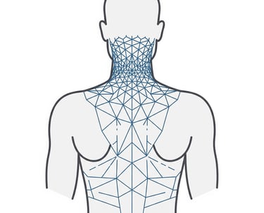 Holding patterns of the body caused by chronic tension and previous trauma