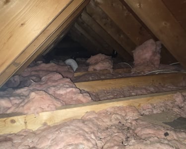 Professional wildlife exclusion inspection for a cottage in Huntsville.