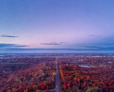 Drone view of a long road dividing colorful fall foliage, with city lights visible on the distant horizon.