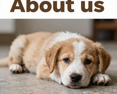 Un cachorro adorable de color marrón y blanco acostado en el suelo debajo del texto Sobre Nosotros p