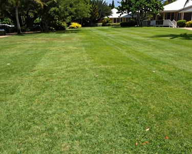 A freshly mowed tropical lawn with crisp edges under bright daylight.