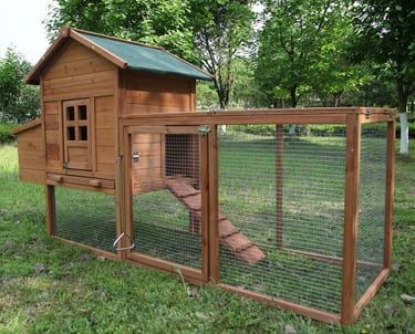 A wooden chicken coop with an outdoor wire mesh run and ramp on a green backyard lawn.