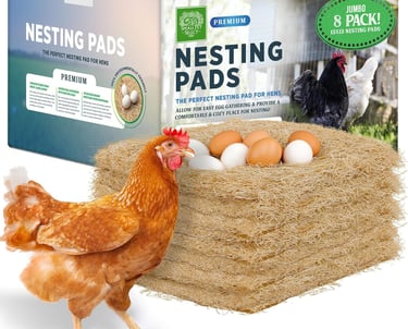 A stack of premium aspen wood fiber nesting pads for hens with a brown chicken and fresh eggs.
