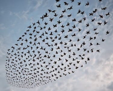 A compassionate nurse gently assisting an elderly patient in a sunlit room with earth-toned decor.