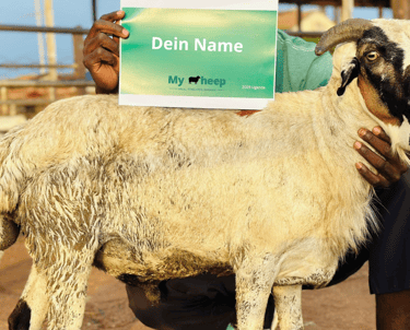 Schlachtung nach Niyyah, Qurbān, ʿAqīqah, Sadaqah, Shifaa (Heilung), Dankbarkeit, Kaffārah, Baraka,